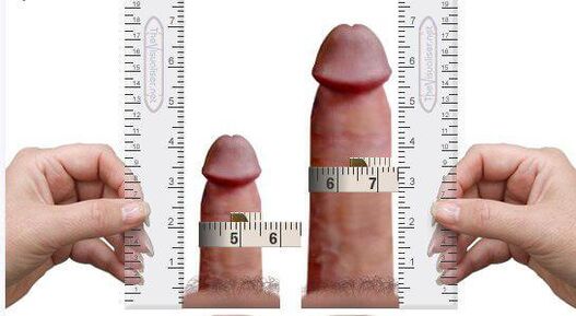 Penis measurement at home and after