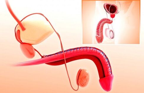 Penile deformities and glans enlargement